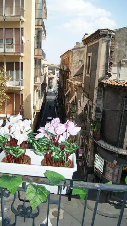 Appartement Maison Sicilienne Catane